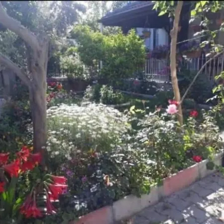 Ces Villa