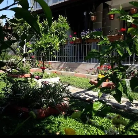 Villa Ces *